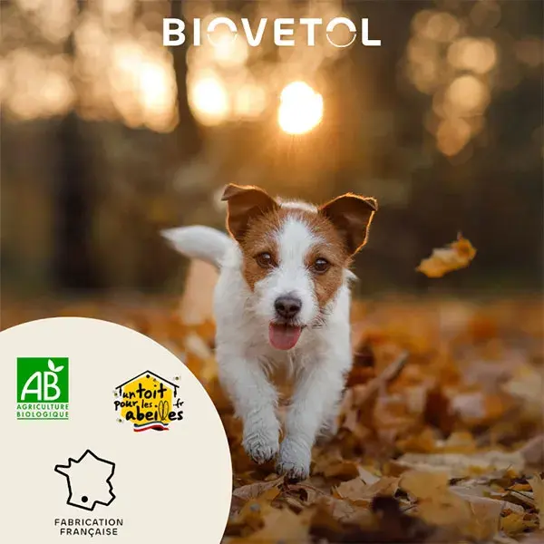 Biovetol - Comprimidos orgânicos para o bem-estar intestinal de filhotes/cães de pequeno porte - 10 unidades