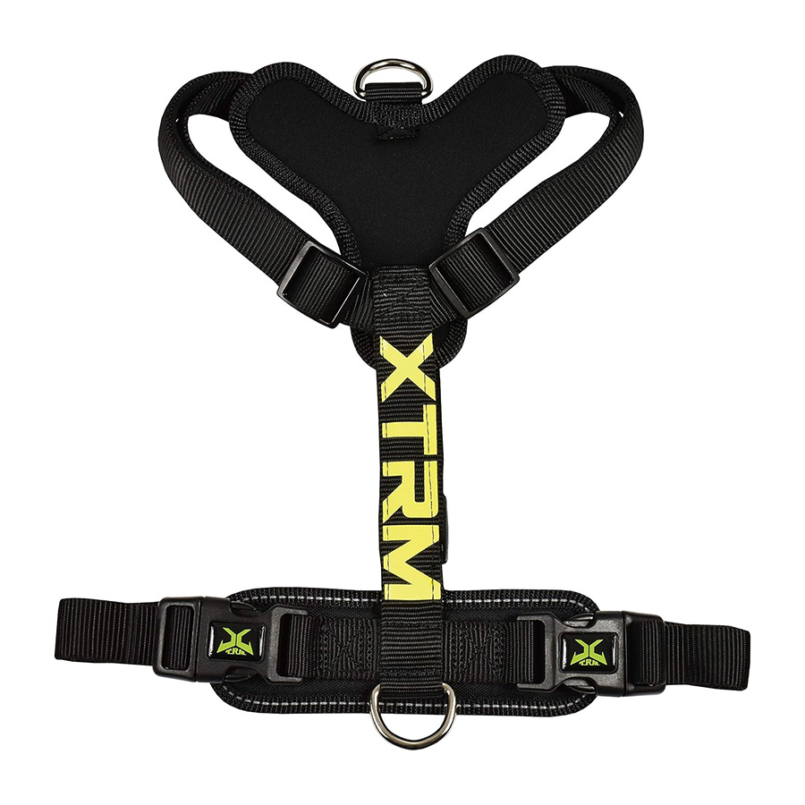 Coleira para cães X-TRM Cronos Neon Flash preta