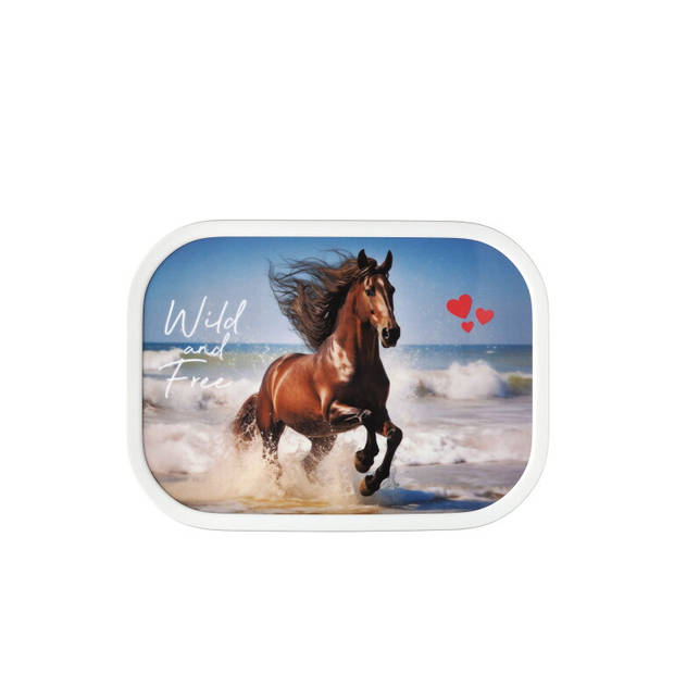 Lunchbox Campus - Wild Horse