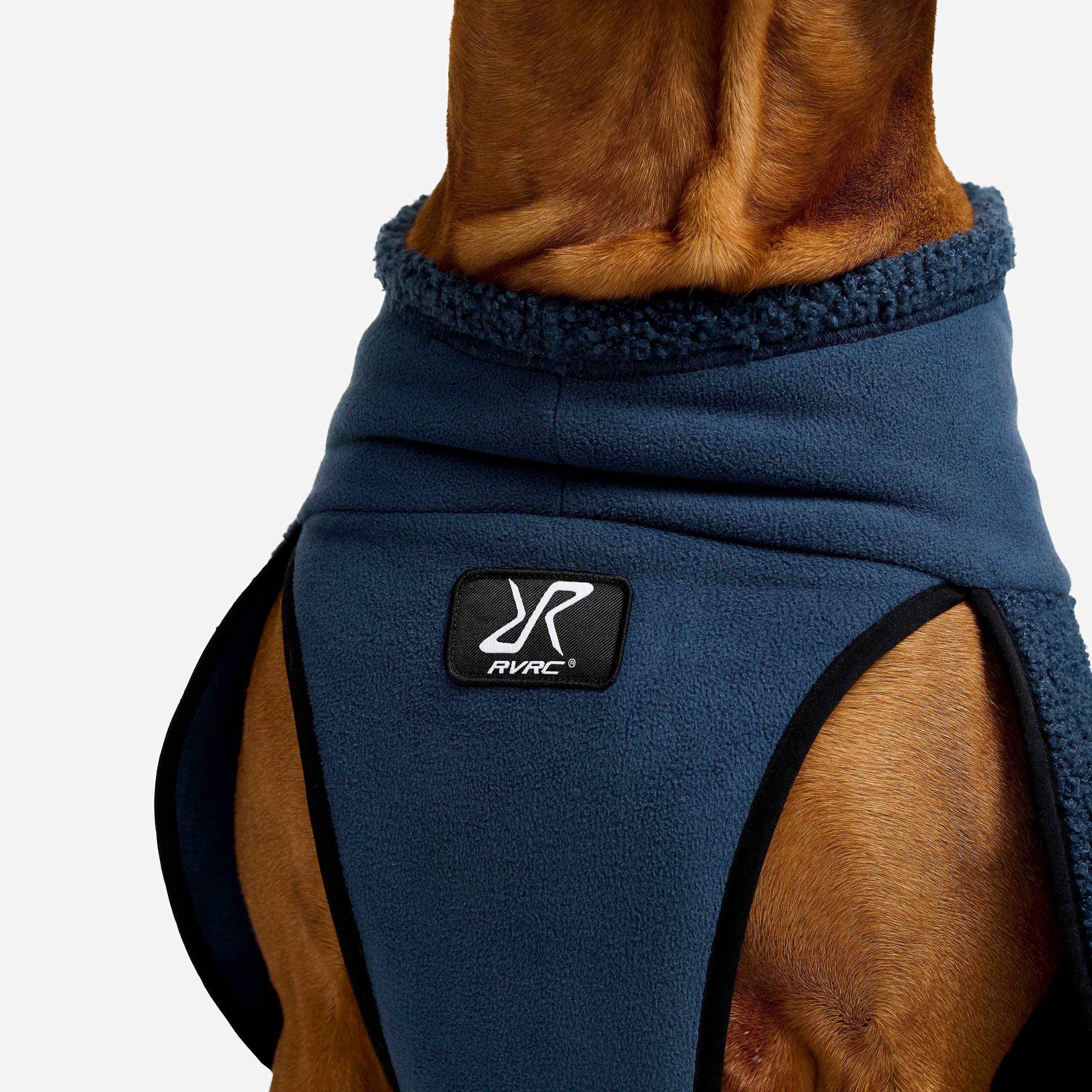 Bigfoot Dog Jacket Hund Moonlit Ocean