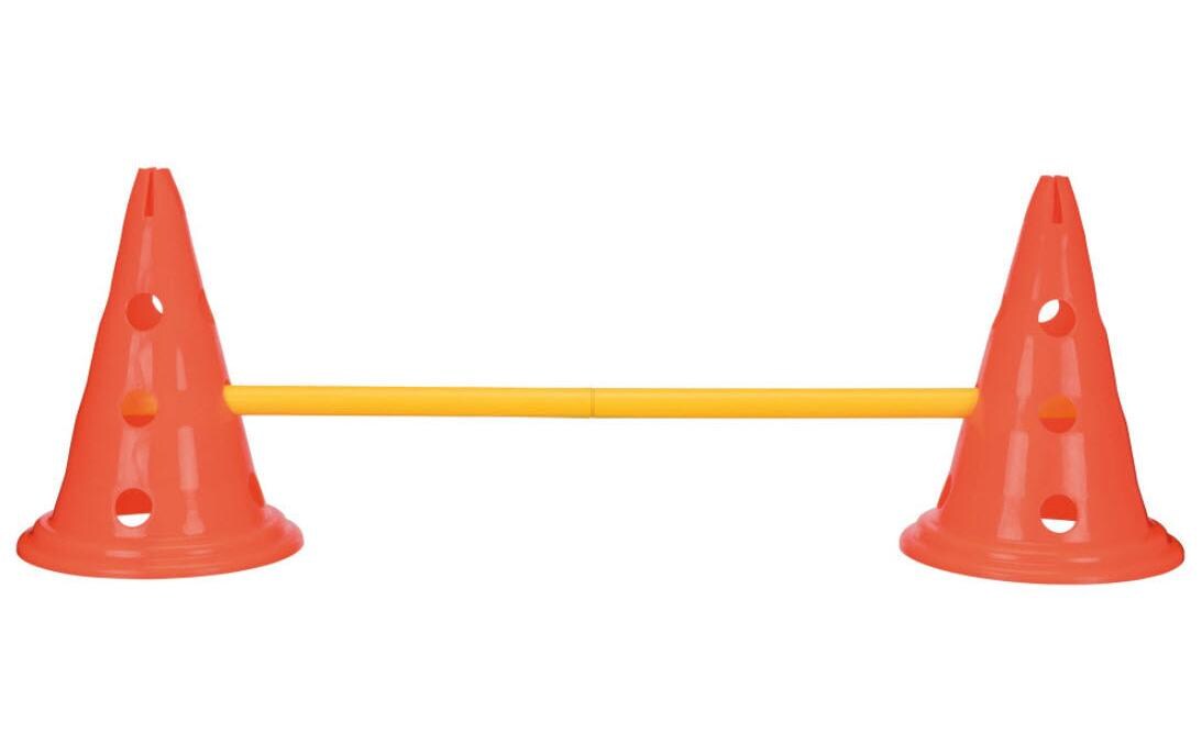Agility Hürde Activity Hindernis Set LSet mit höhenverstellbaren Hindernissen; grosse Ausführung