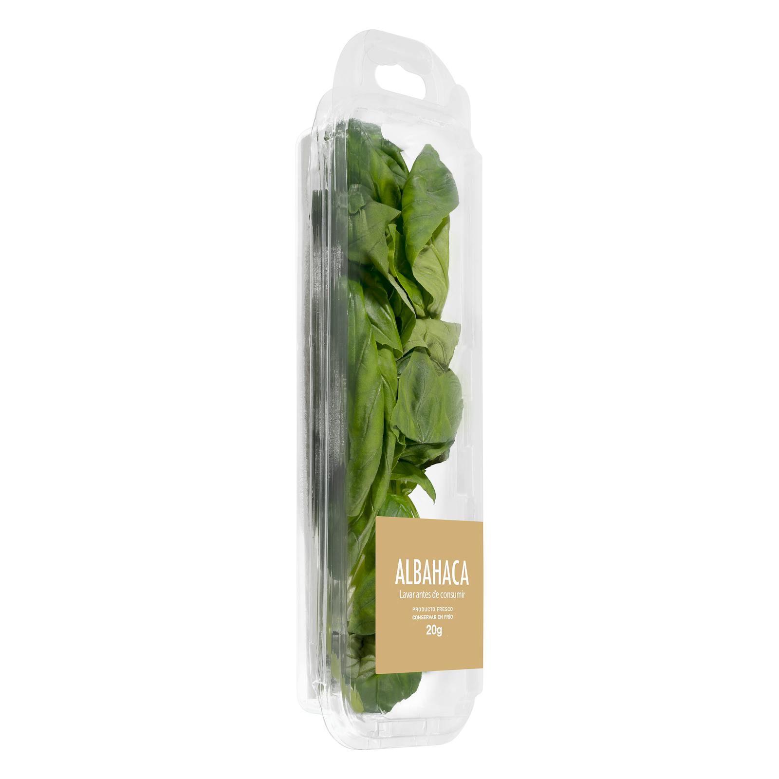Basilic
