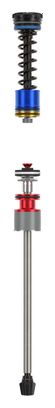 Cartouche RockShox Isolator RC Domain C1