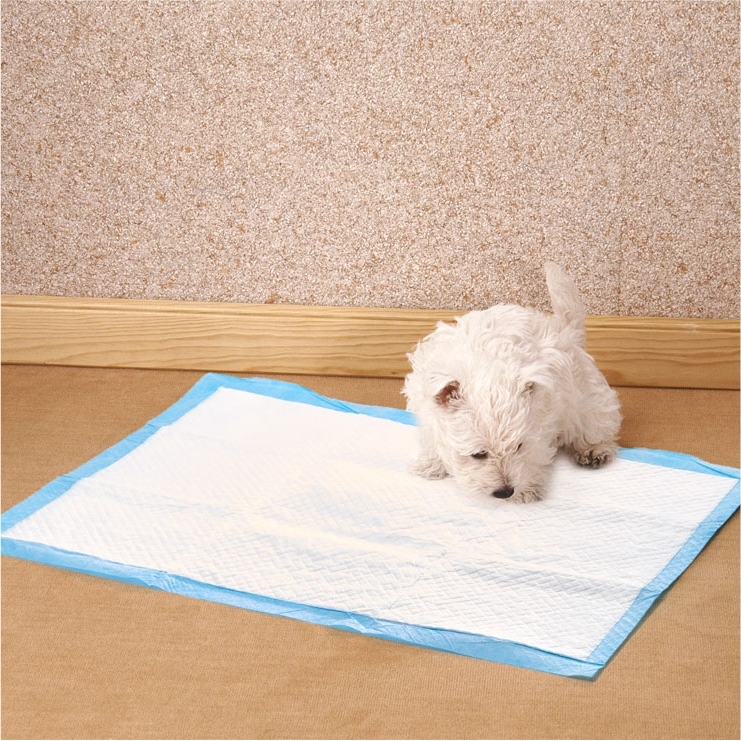 Lot de 12 tapis de propreté classiques pour chien