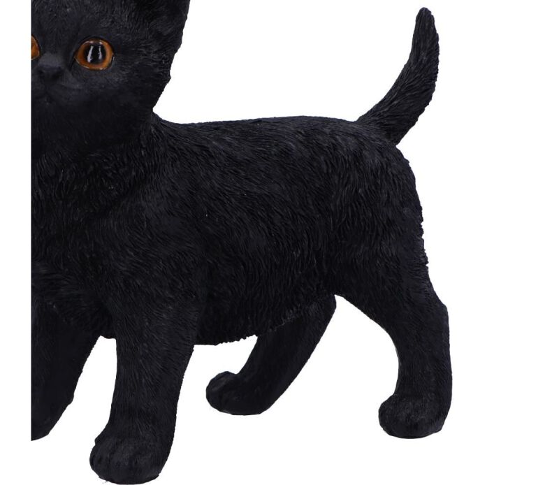 Charmed Companion | Nemesis Now Articles De Décoration