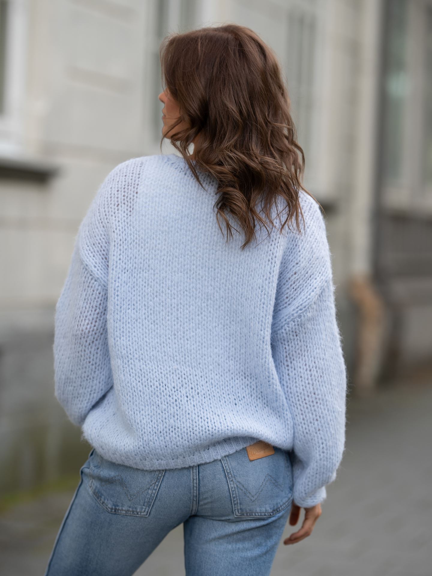 Nordic Life Long Sleeve O-Neck Knit