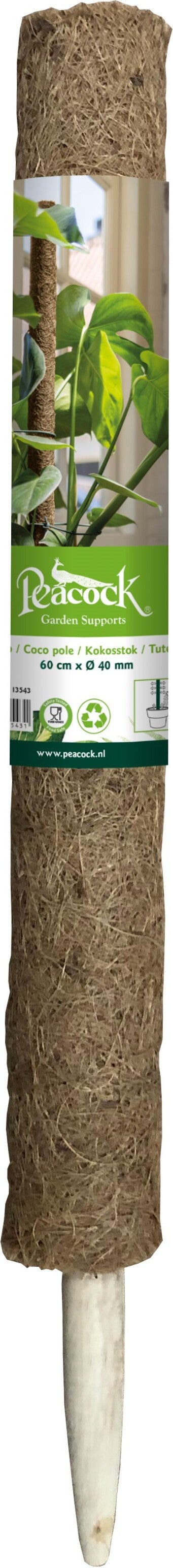 Peacock plantenstok naturel D 4 H 60 cm