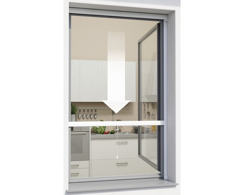 Insectenhor Windhager PLUS rolgordijn, zonder boren, wit, 100x160 cm