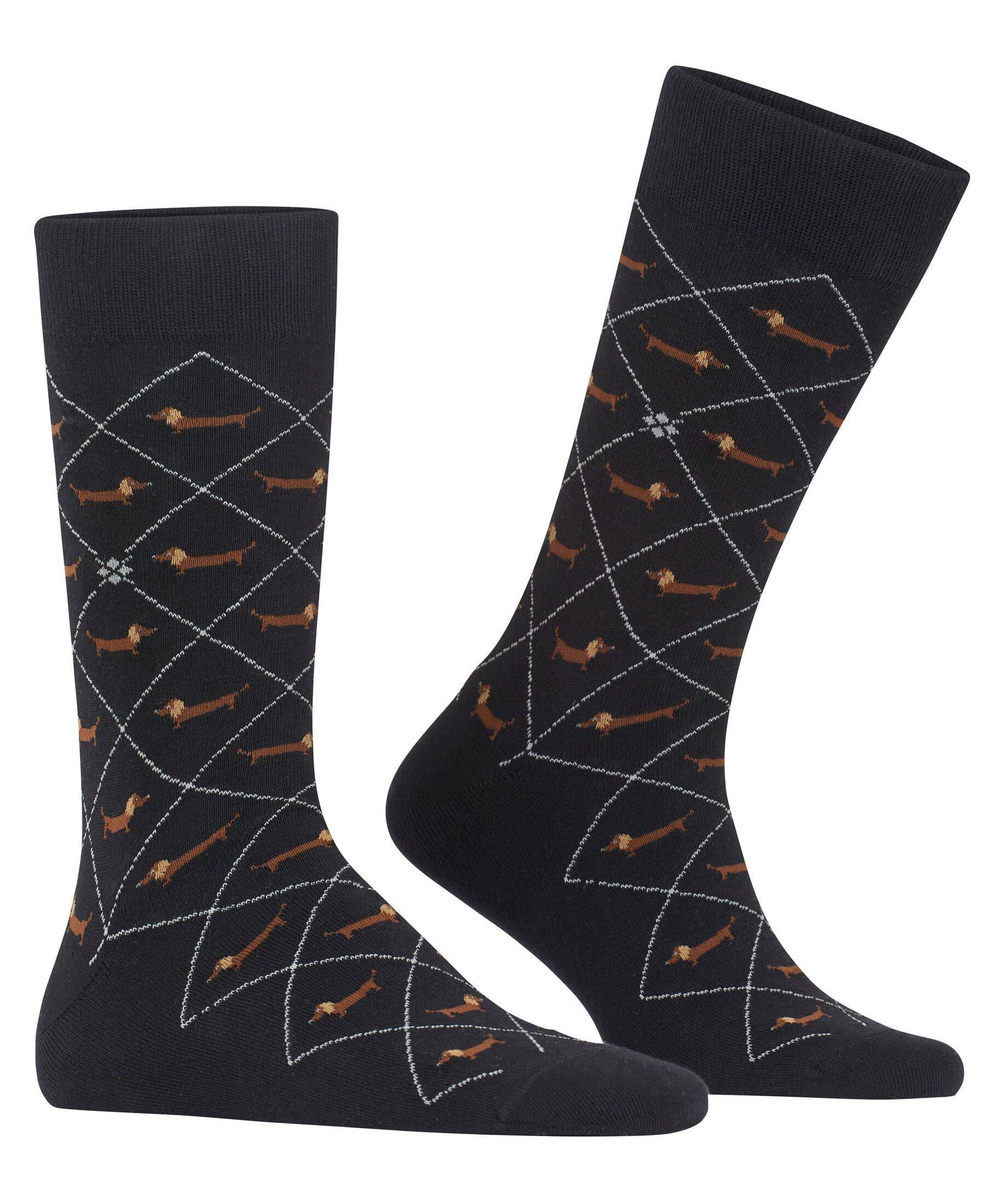 Burlington| Herren Socken Dachshund