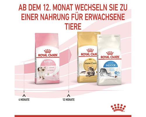 ROYAL CANIN Kitten droog kattenvoer 10 kg