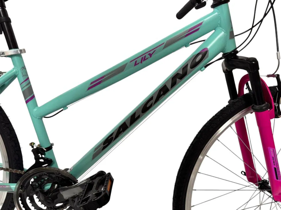 Salcano Trekkingrad Damen Rad Mtb 28 Zoll Fahrrad 21 Gang Mountainbike Hardtail