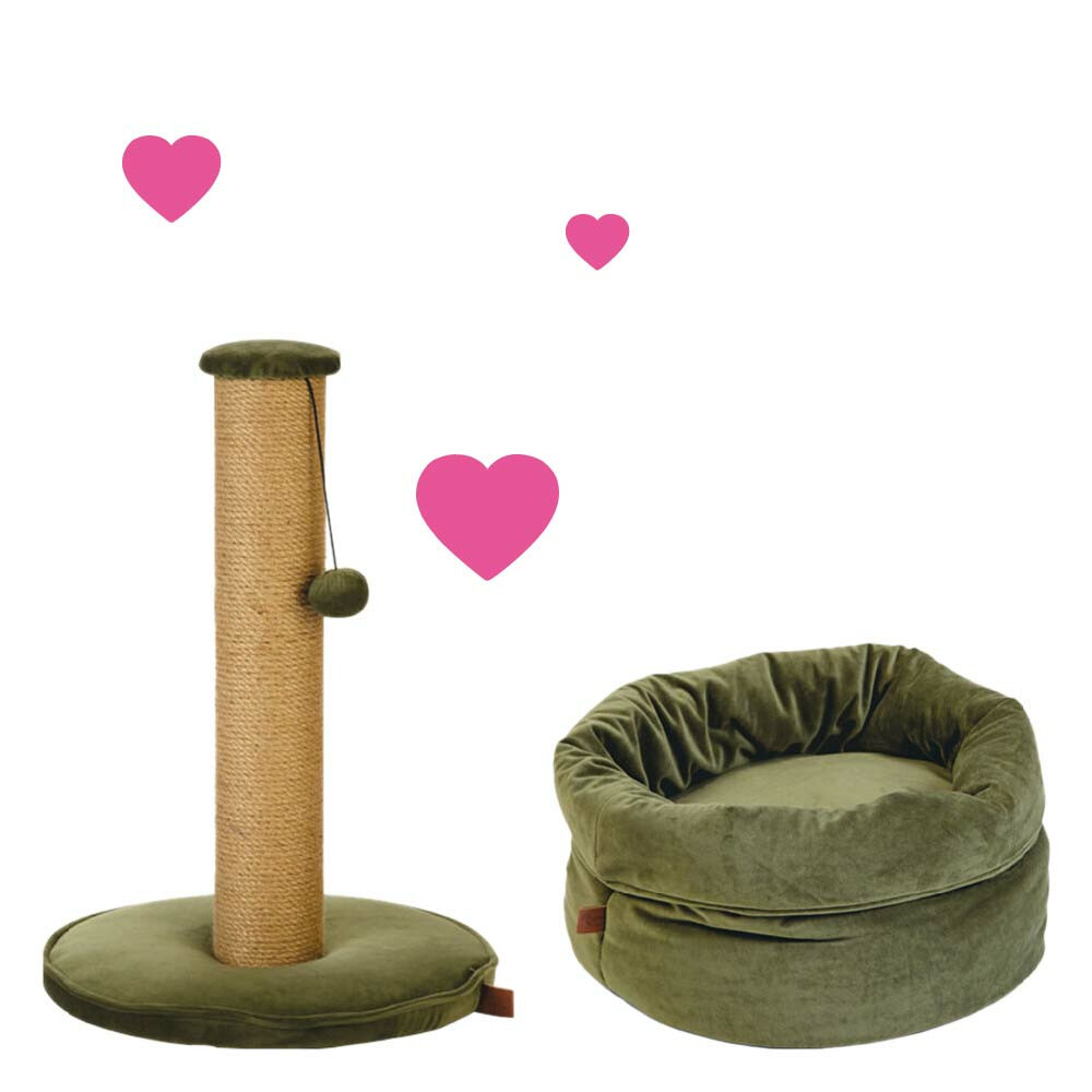 Verwen Je Kat Valentijn Pakket