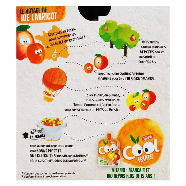 Vitabio Cool Fruits Maçã Pêssego Damasco Acerola Orgânico 4 x 90g
