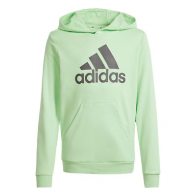 Adidas SportswearBig Logo Essentials Cotton Hoody - grün