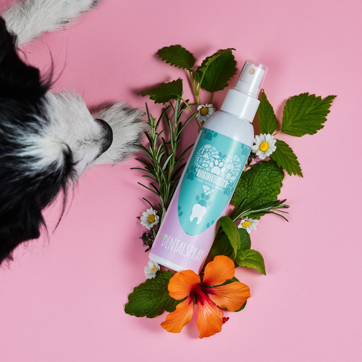 Tierliebhaber Dentalspray