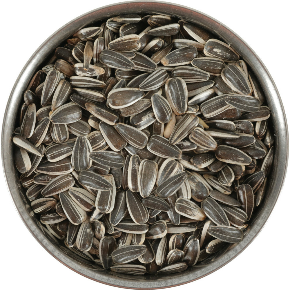 Tournesol graine pour oiseaux de jardin sac 1.5 kg