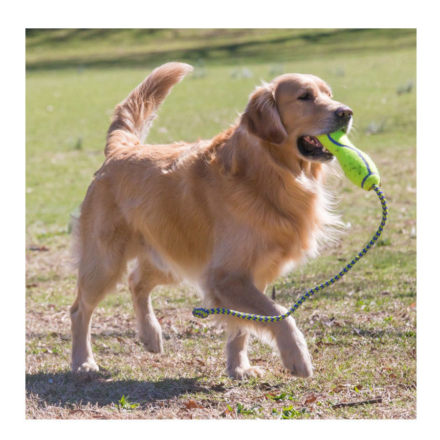Brinquedo Kong Air Dog Squeaker Stick para Cães