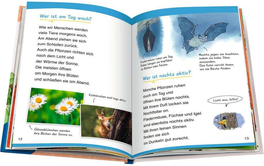 Kinder-Sachbuch WWW Erstleser: In der Natur (Band 10)Lesetraining, Sachwissen und Spielspass!