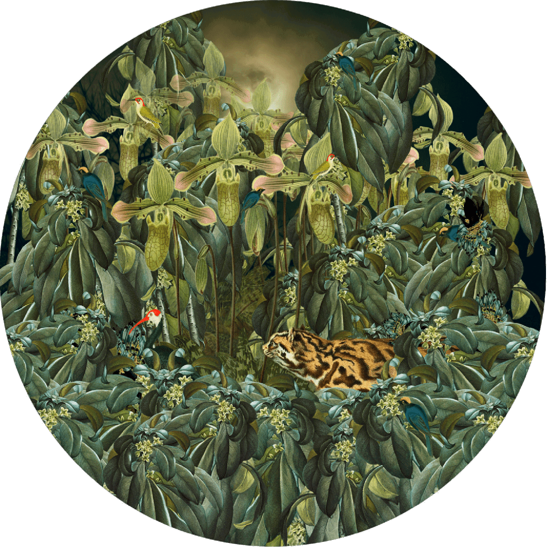 Future  Garden by Steffie De Leeuw - Limited Edition. Edition of: 150. Signed.
