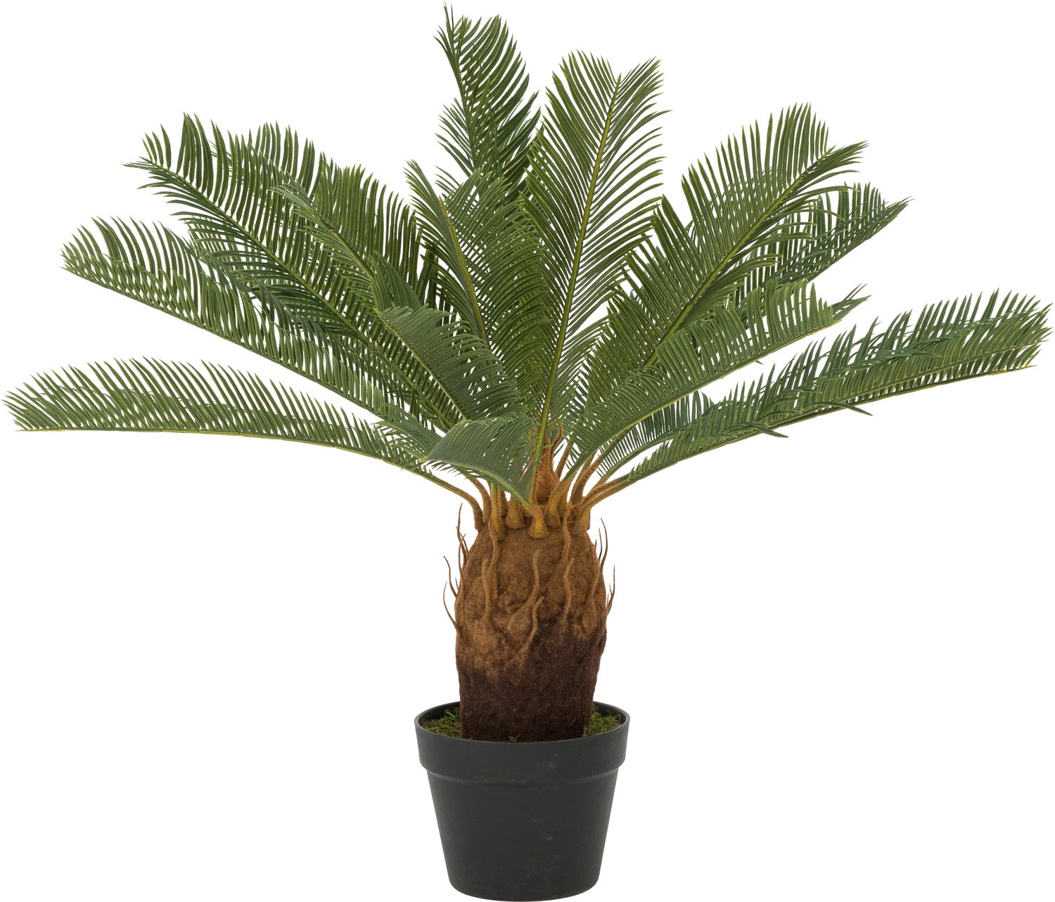 Intratuin kunstplant Cycas H 100 cm