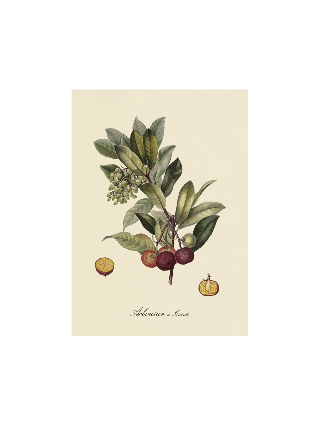 Plakat A3 | Papir. 29,7 x 42 cm.  | Multi | The Dybdahl Co.