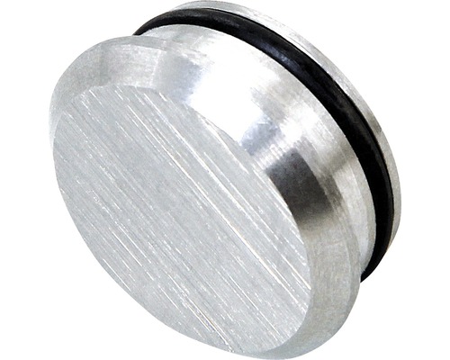 Eindkap voor leuning, roestvrij staal V2A, Ø 25 mm