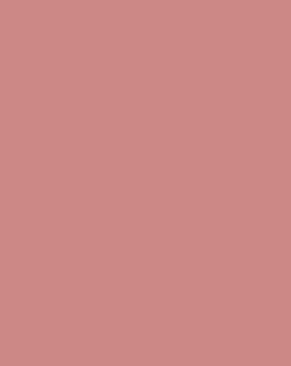 Silikonteller ELEFANT in vintage rose