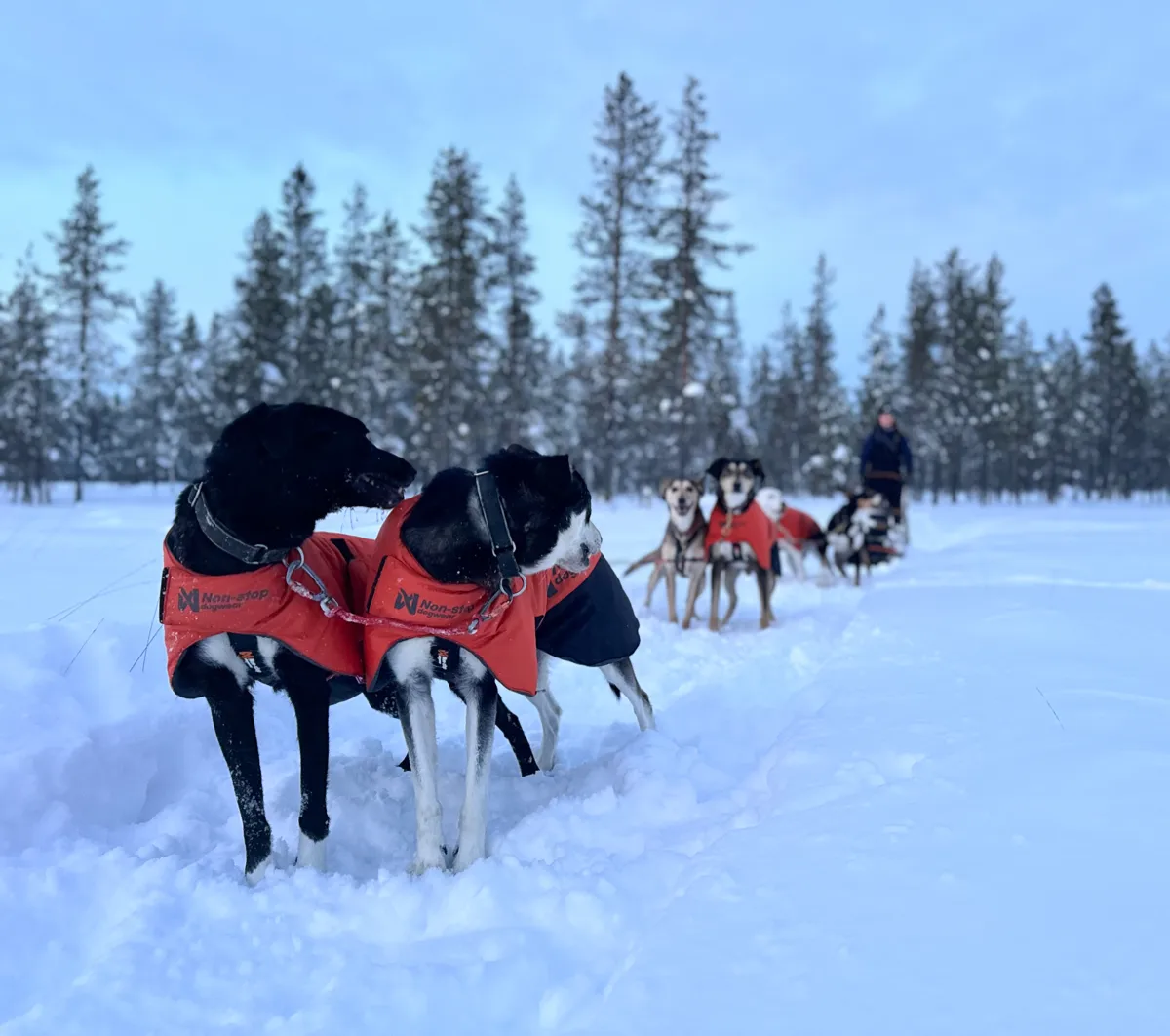 Non-stop Dogwear Long Distance + Jacket Orange