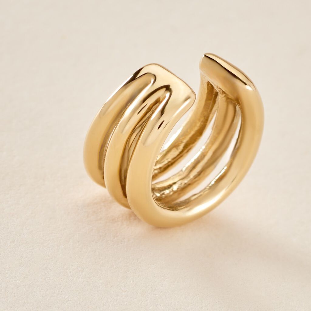 Bijoux D'oreilles Lauri Acier Doré