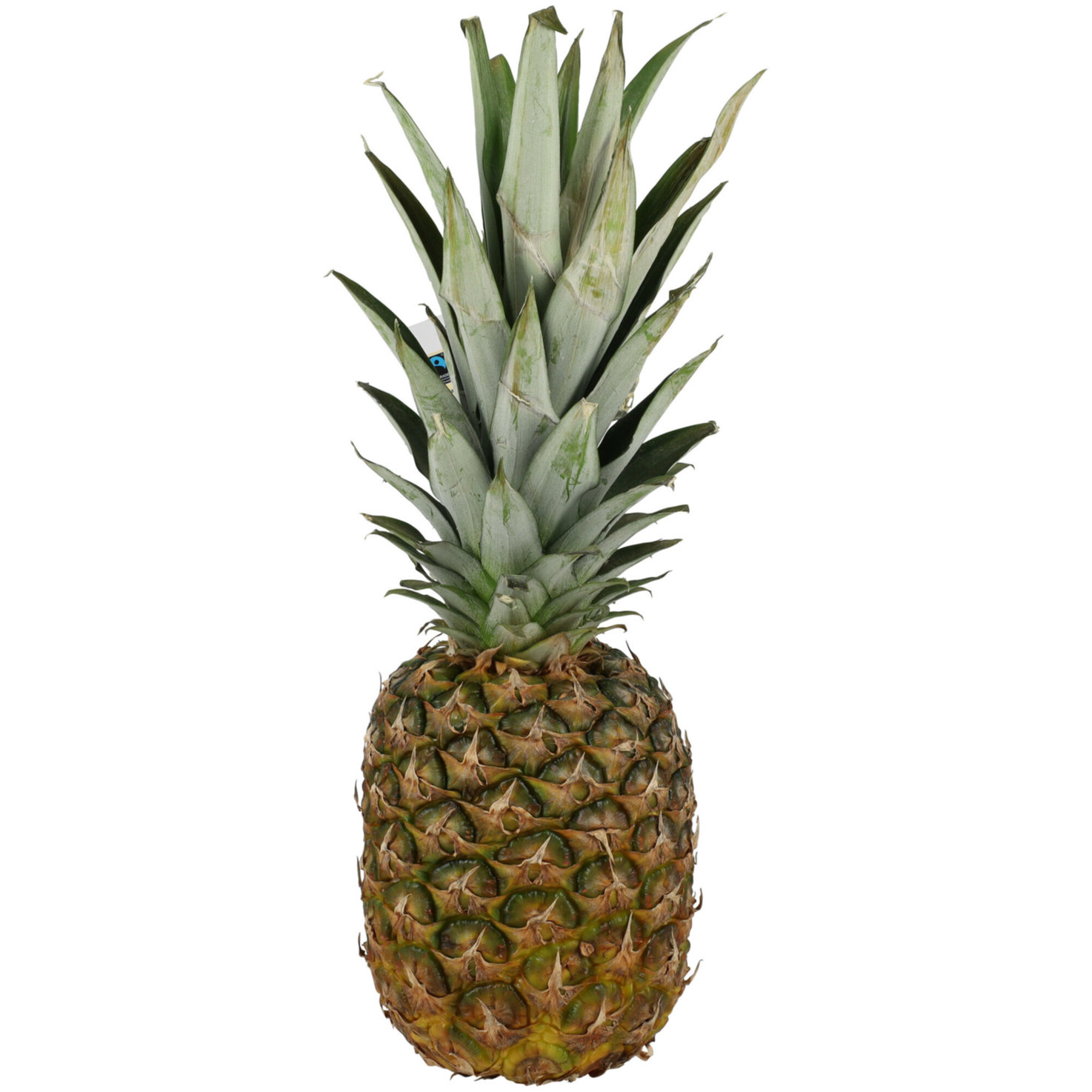 Fairtrade Ananas extrasüss 1 Stück -