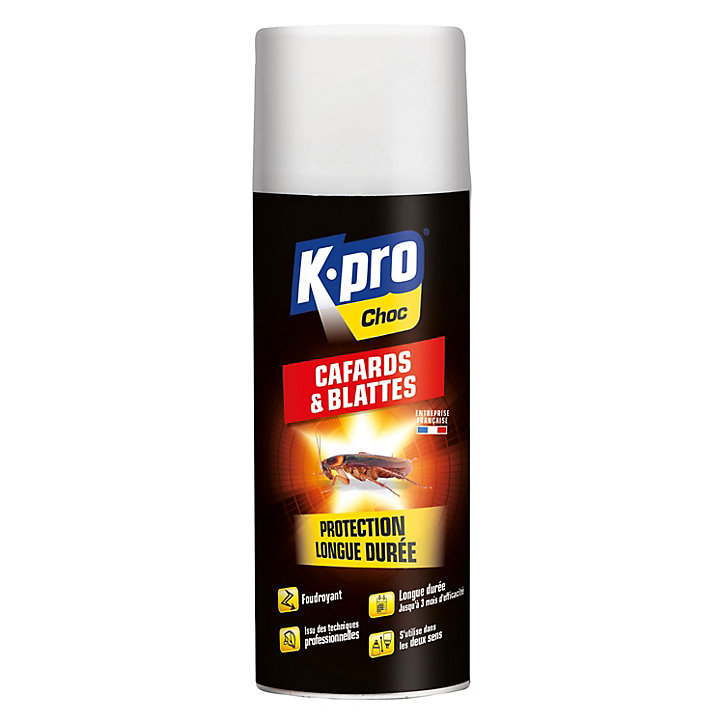 Aérosol Black contre blattes et cafards 400ml