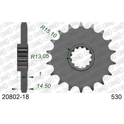 Kit chaine AFAM 530 Type Acier origine