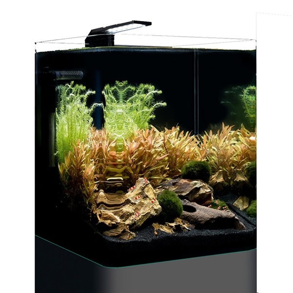 Dennerle Nano Cube Basic 20L | Compleet aquarium