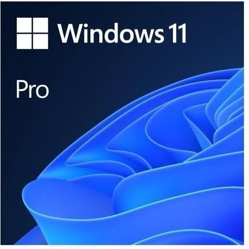 Microsoft - Windows 11 Pro - Besturingssysteem - OEM - DVD