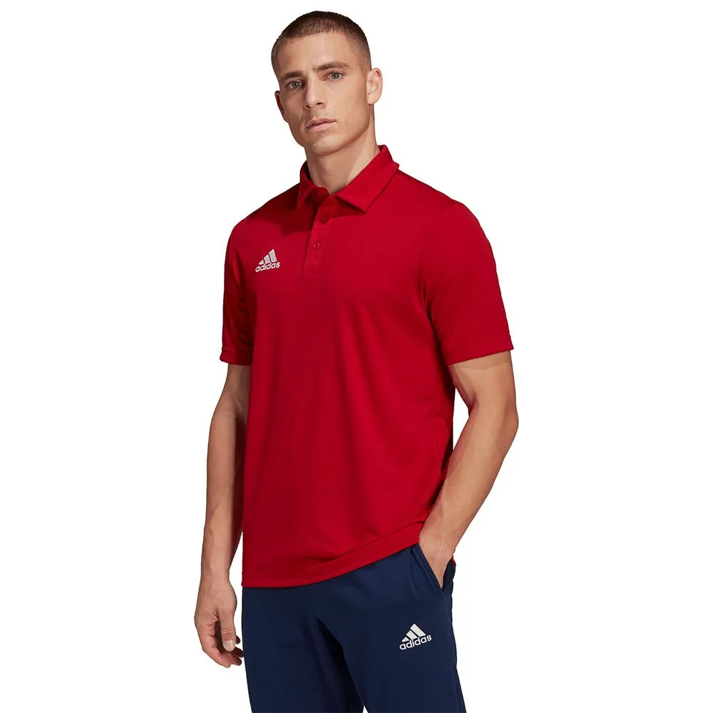 Camisa polo de manga curta adidas Entrada 22