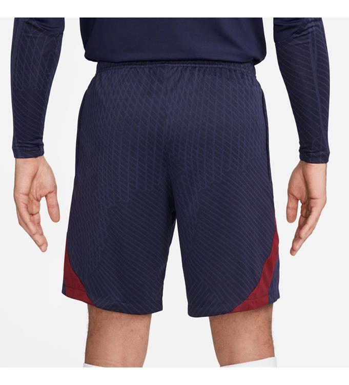 Nike Men Paris Saint Germain Trainingsshort 2023/2024