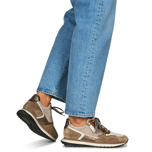 Gabor - 3637855 - Marron