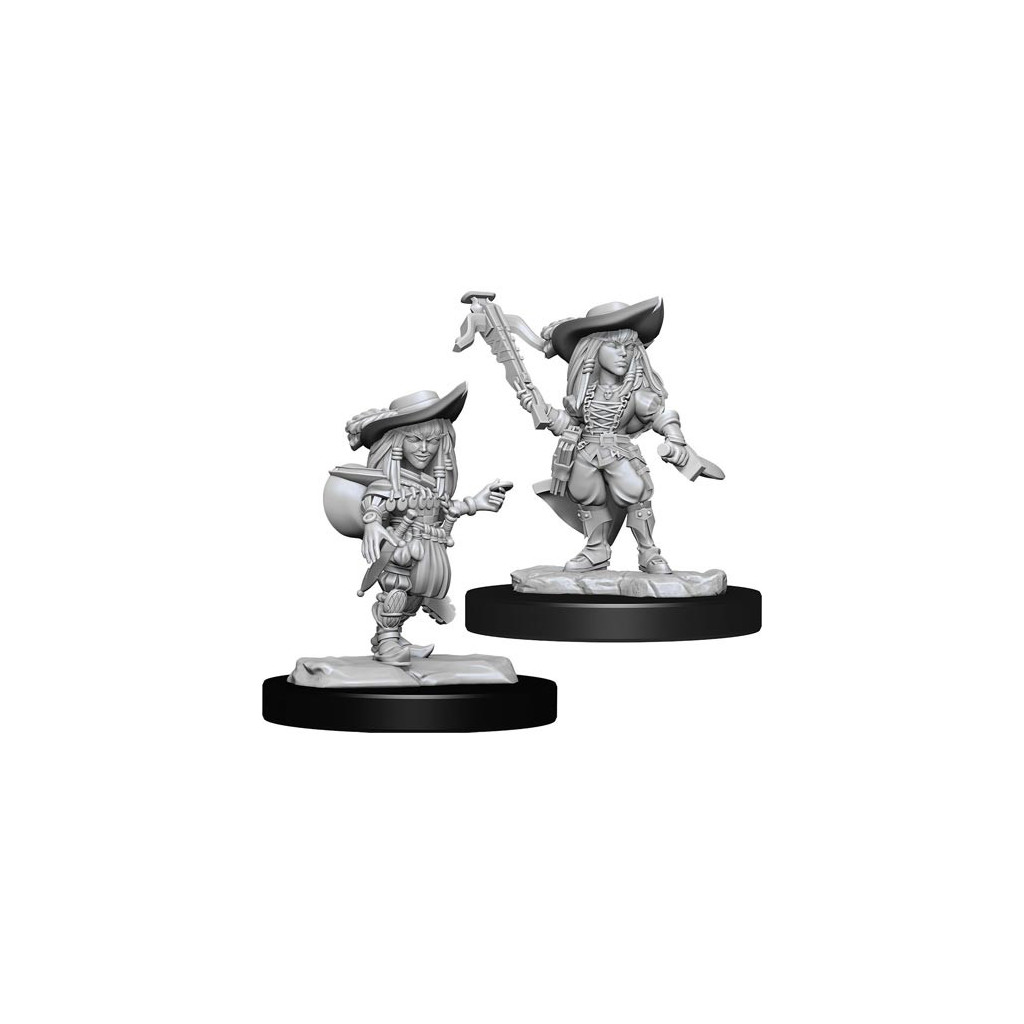 Pathfinder Deepcuts Unpainted Miniatures: Female Gnome Bard