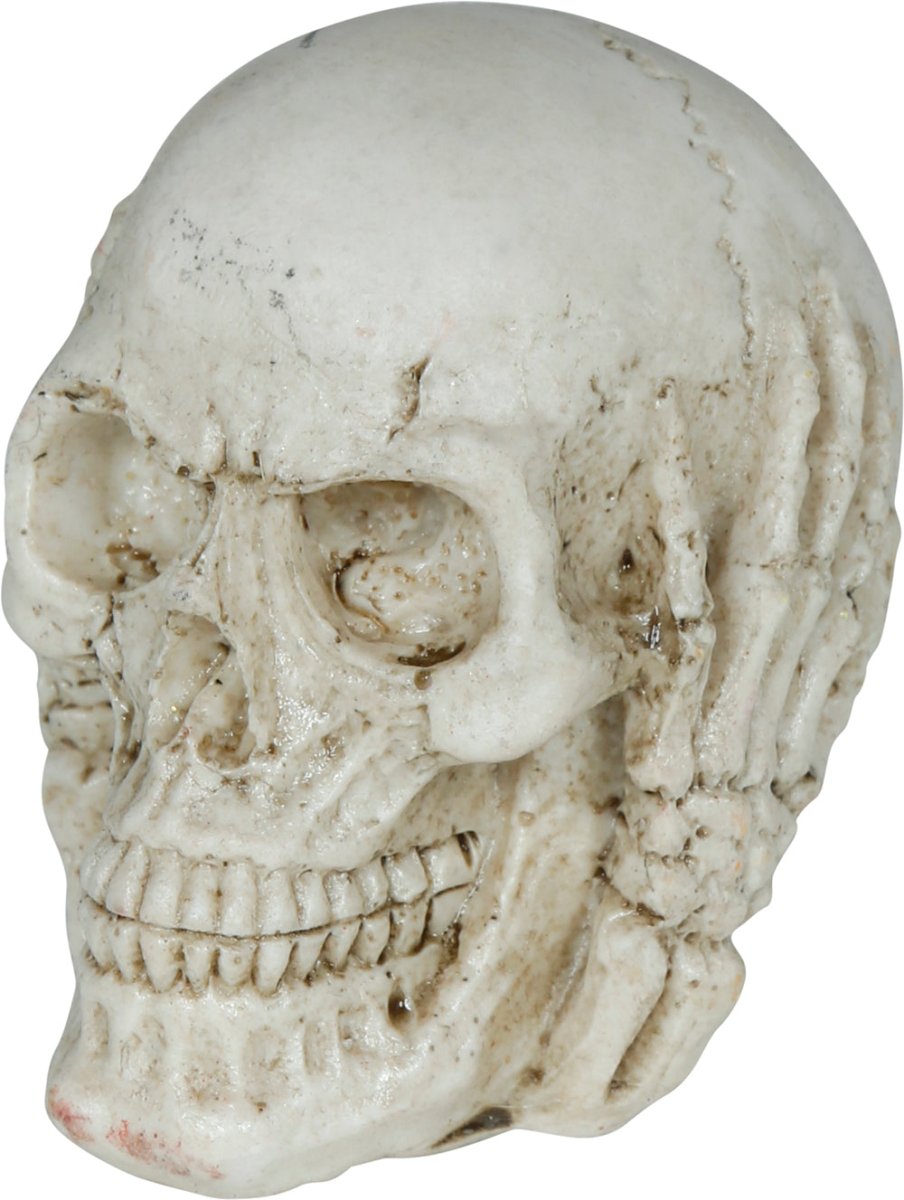 Halloween Schedel 6cm