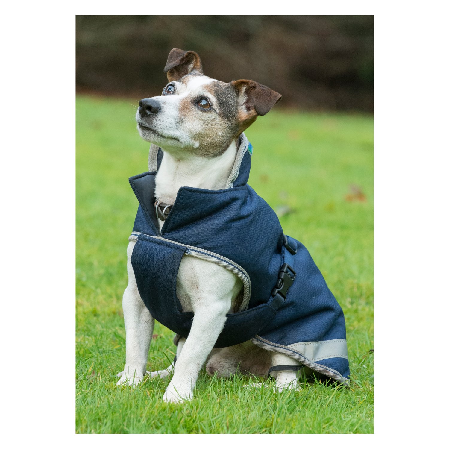 bucas Hundemantel Dog Rug Freedom 50 g - navy