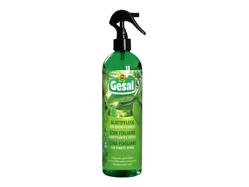 Gesal Blattpflege für Grünpflanzen 500 ml Pflanzenpflege