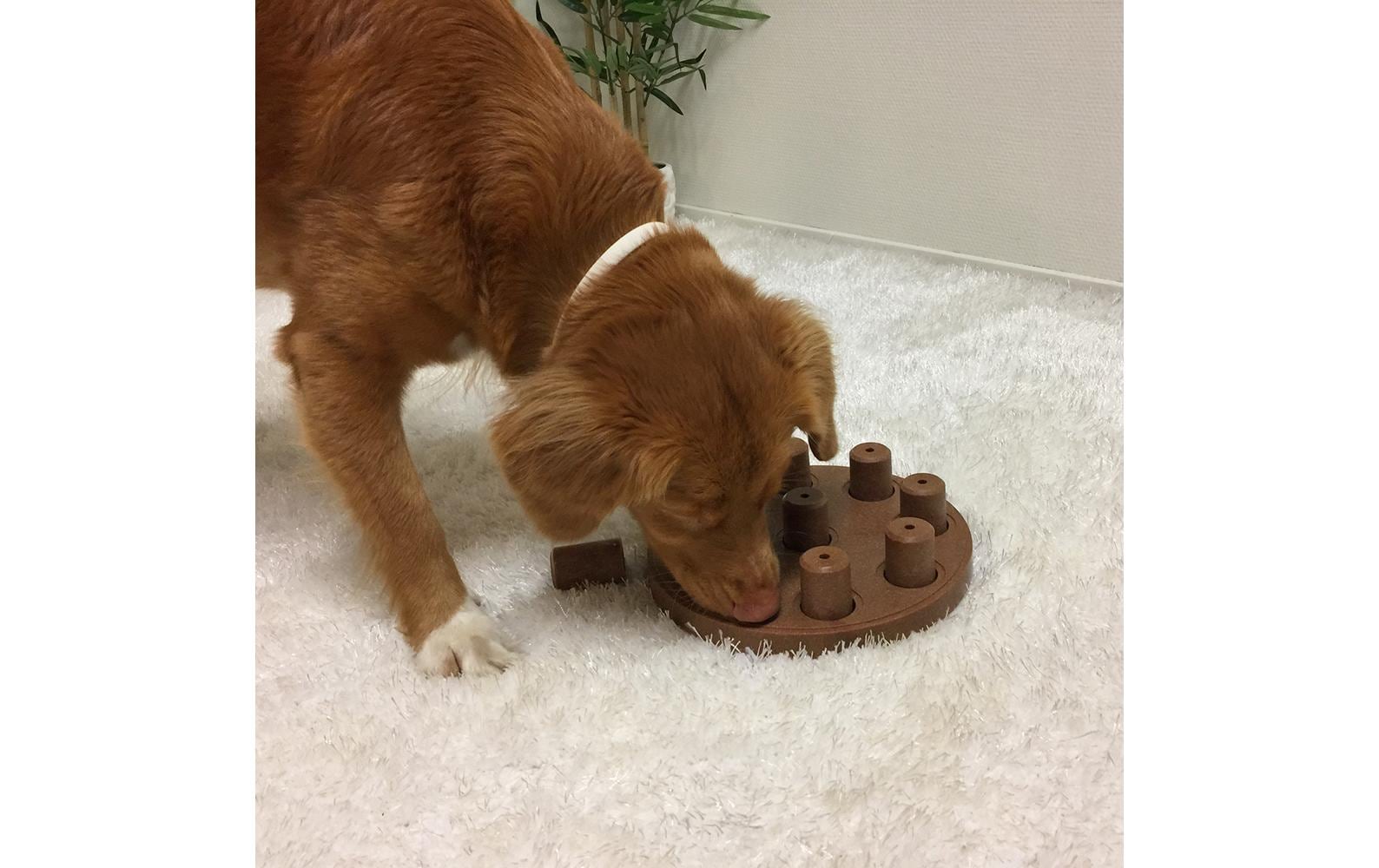 Strategie-Spiel Smart Composite, Ø 23 cm, OrangeStrategiespielzeug für Hunde