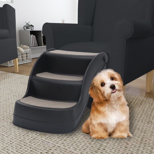 Escada do cachorro preto