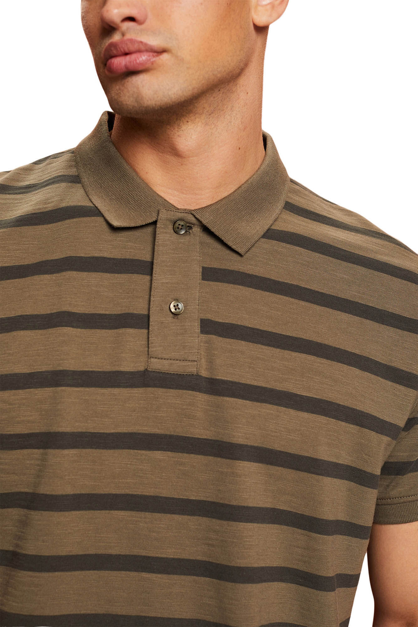 Camisa polo listrada em algodão sustentável - Estampa verde