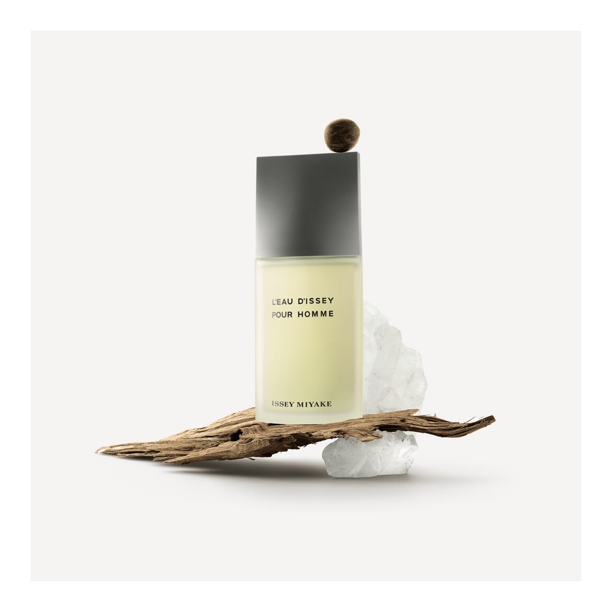 Issey Miyake L'Eau d'Issey pour Homme Eau de Toilette
