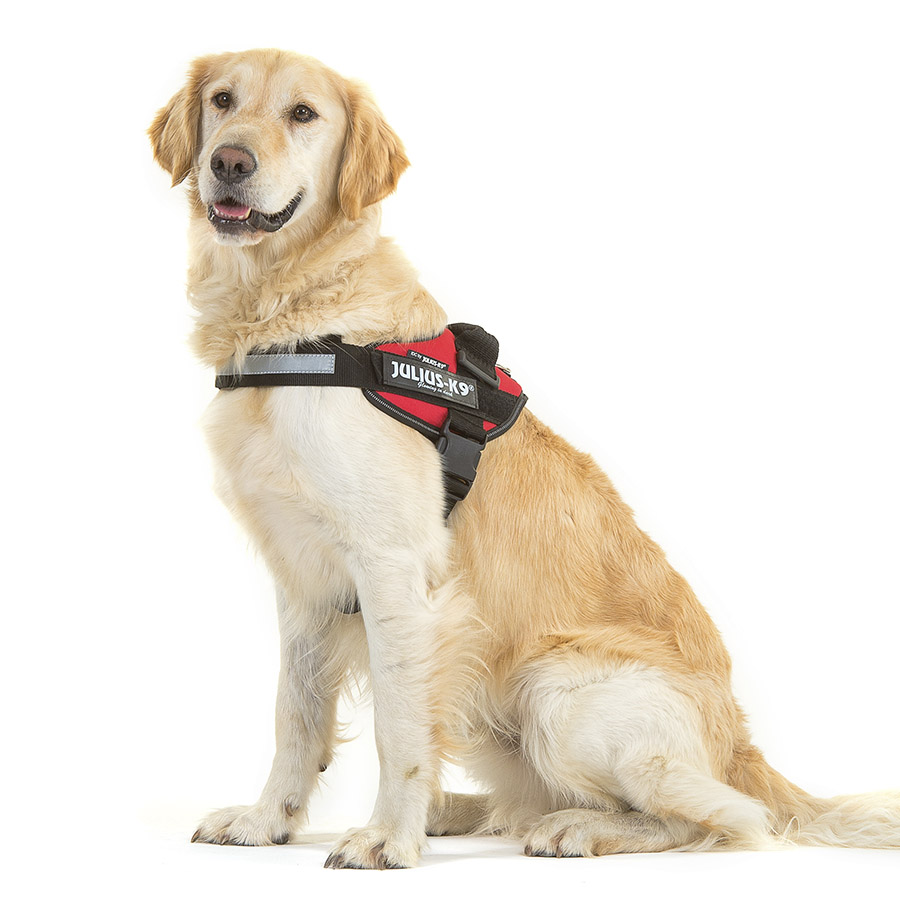 Coleira para cães Julius-K9 IDC vermelha