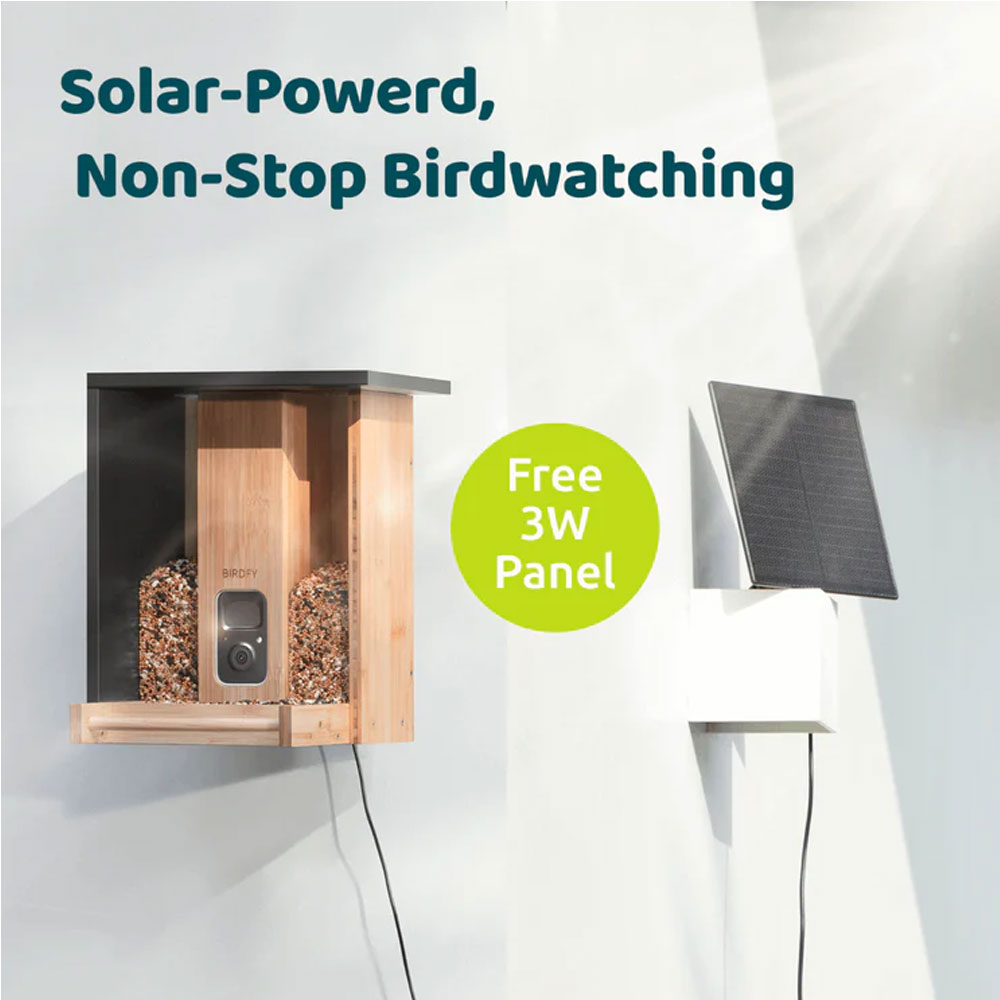 Birdfy Bambus Solar Vogel Haus Vogelfutterspender Smarte Outdoor Wildvogel Futterstation mit Full HD Kamera IP65 (EPPAMBNI8402110)