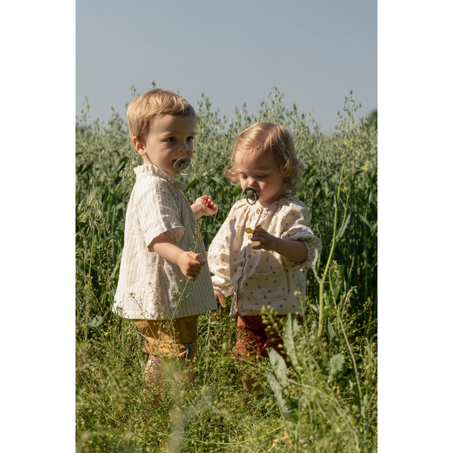 BIBS® Schnuller Colour Sage  Hunter Green 0-6 Monate, 2 Stk.