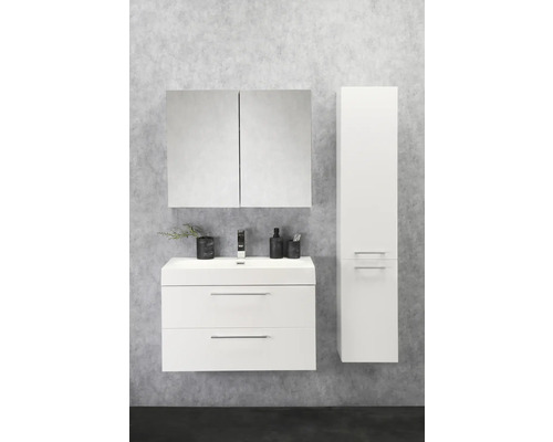 Badkamermeubelset Differnz Somero BxHxD 60 x 57 x 38 cm, frontkleur wit hoogglans met wastafel in mineraal gegoten wit
