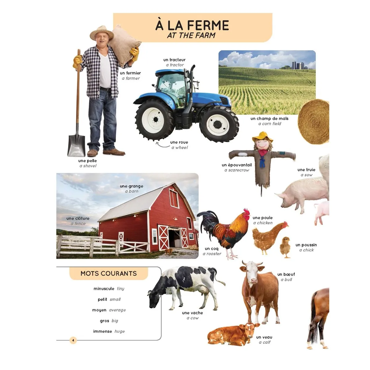 Prologue Mon Imagier des 1000 Mots Anglais  Français